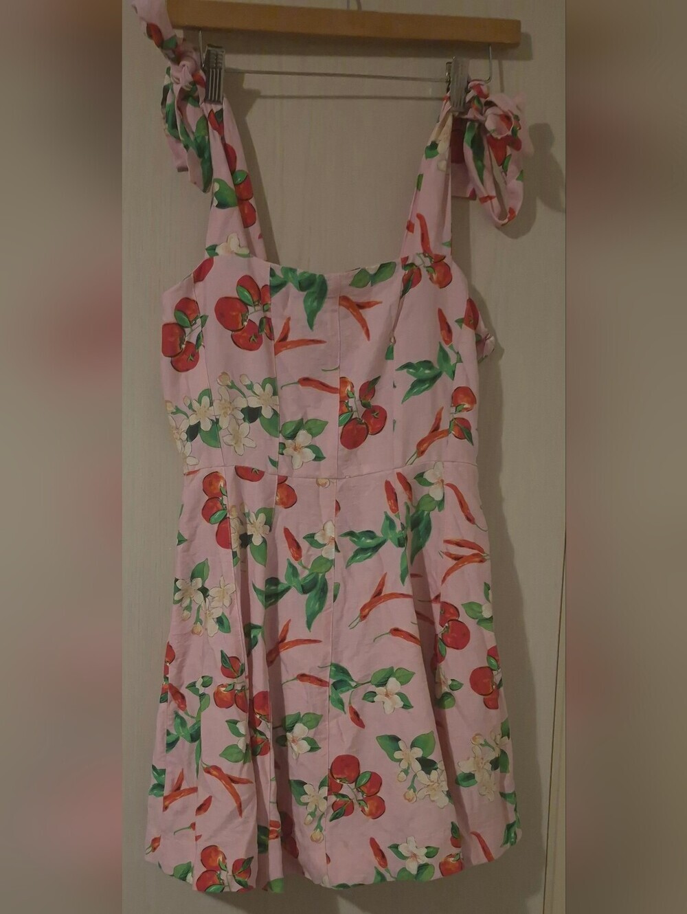 Zara Pink Tomato & Chili Print Tie-Strap Mini Dress | Size Small